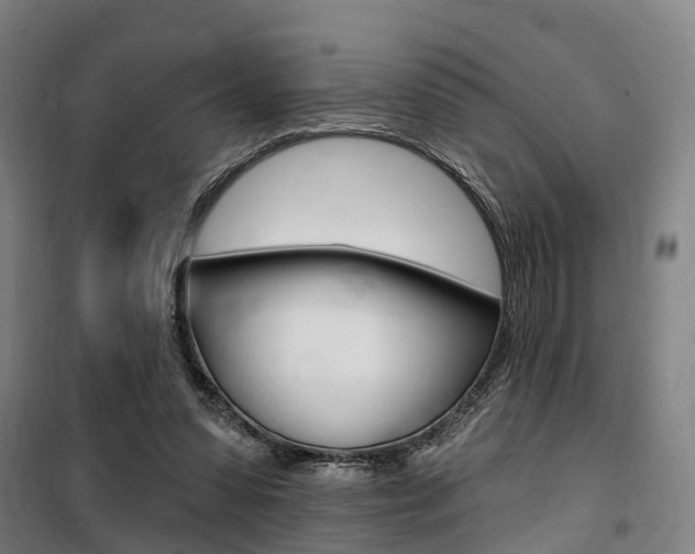 X0000100870303200806200909