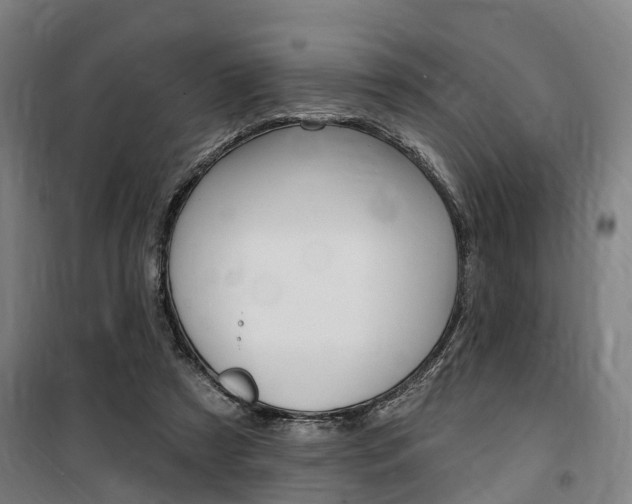 X0000100870305200806200909