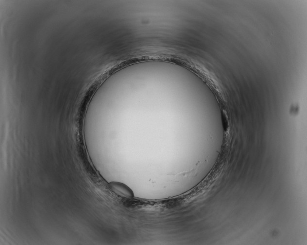 X0000100870306200806200909