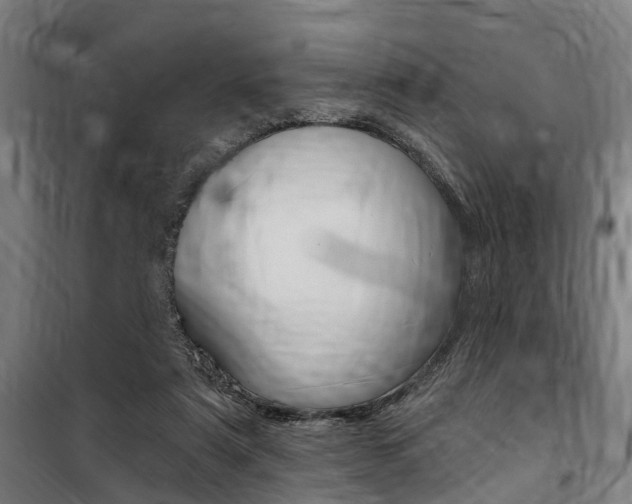 X0000100870307200806200909