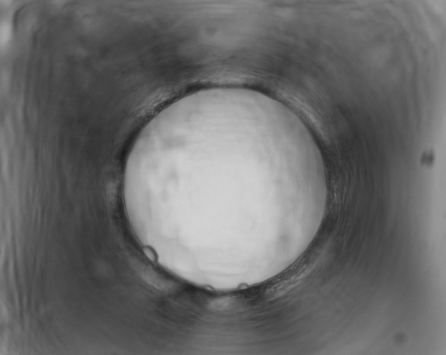 X0000100870309200806200909