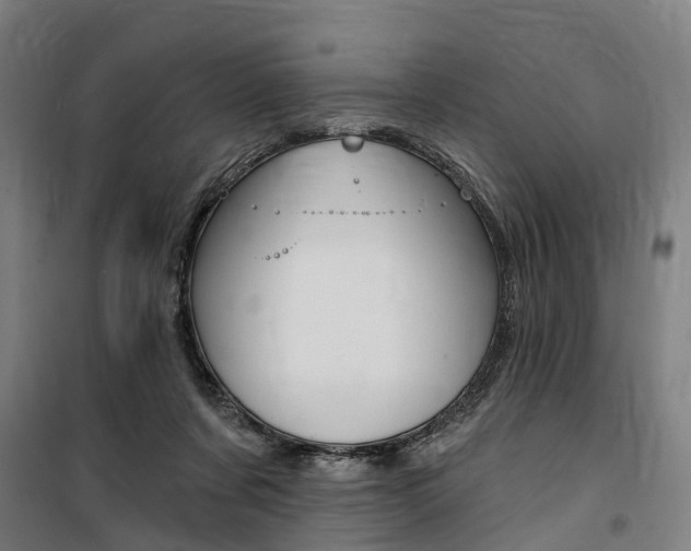 X0000100870311200806200909