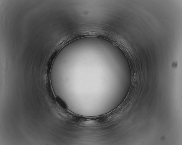 X0000100870312200806200909