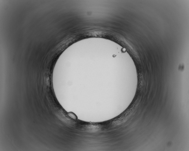 X0000100870313200806200909
