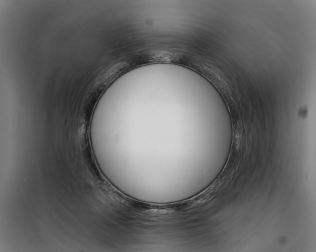 X0000100870314200806200909