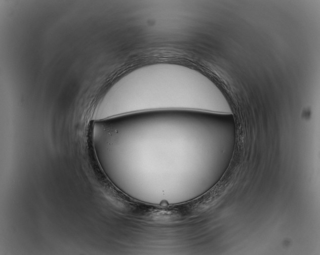 X0000100870315200806200909