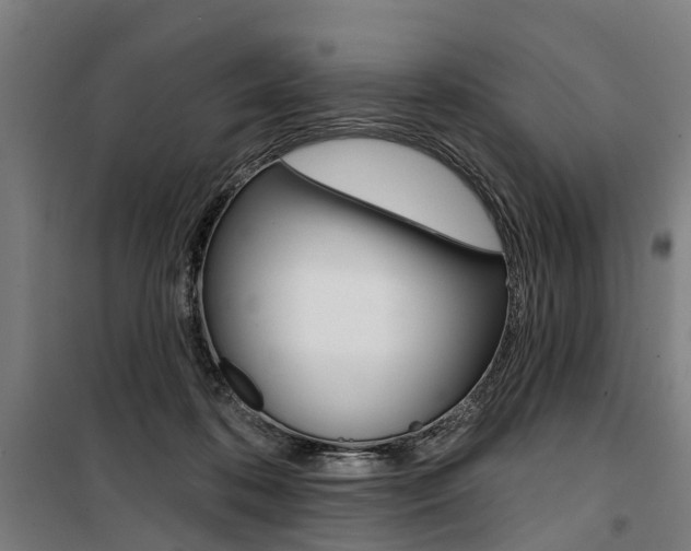 X0000100870316200806200909