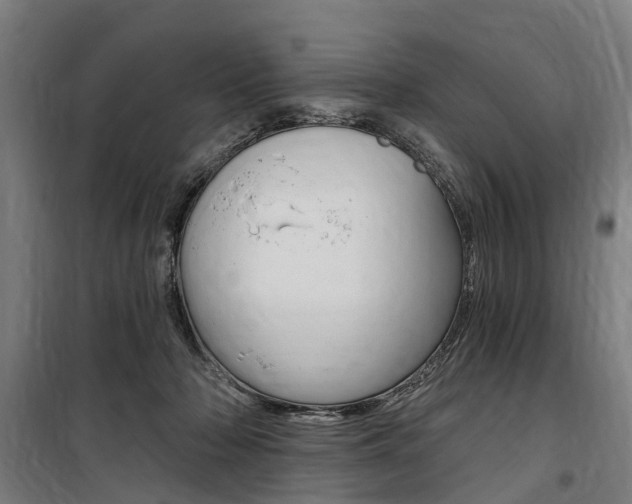 X0000100870318200806200909