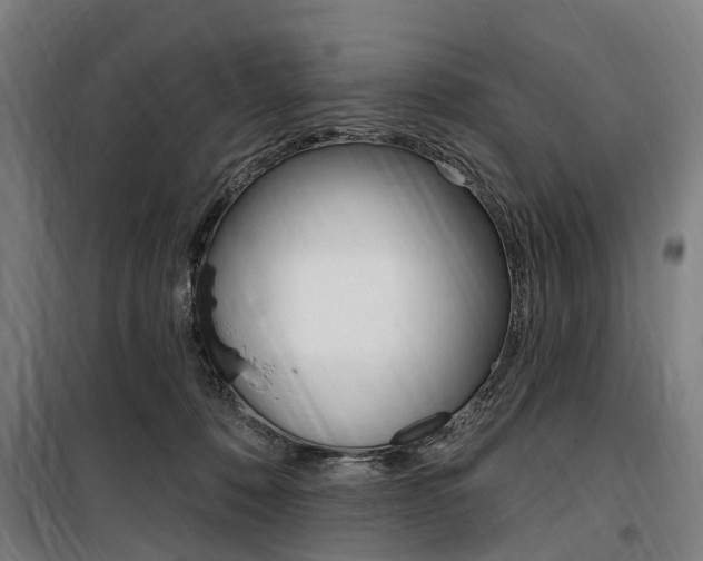 X0000100870320200806200909
