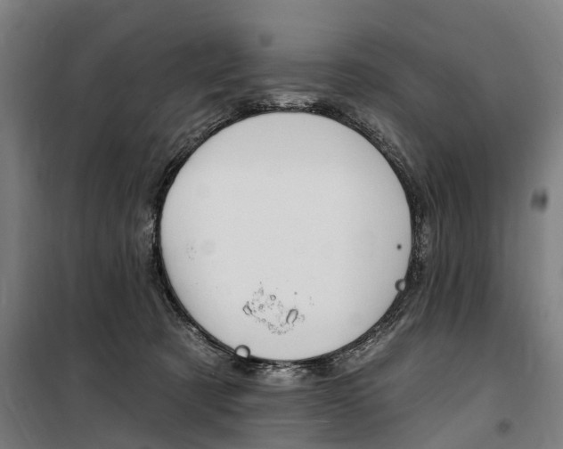 X0000100870321200806200909