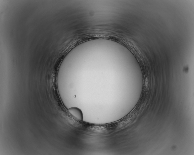 X0000100870322200806200909