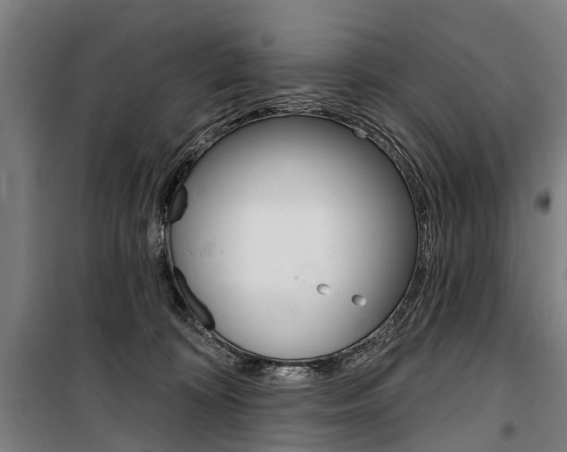 X0000100870324200806200909