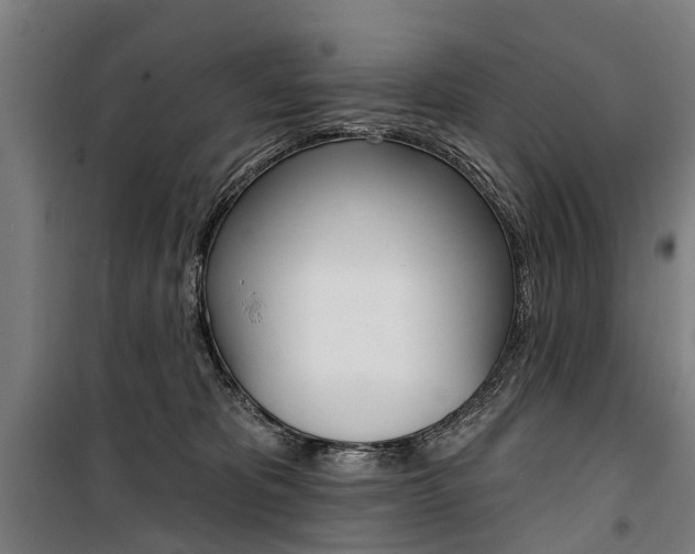 X0000100870325200806200909