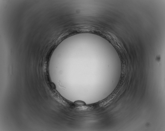 X0000100870326200806200909