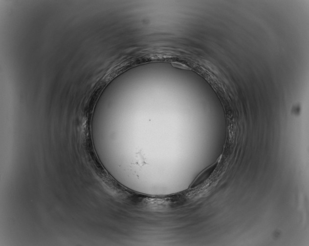 X0000100870327200806200909