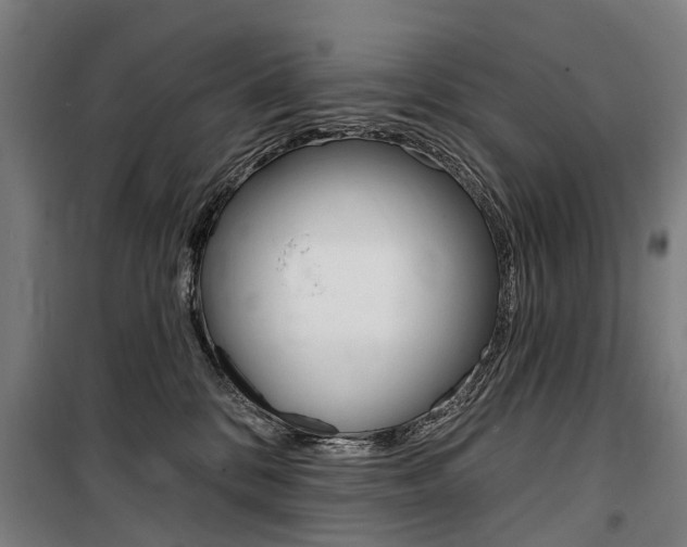 X0000100870328200806200909