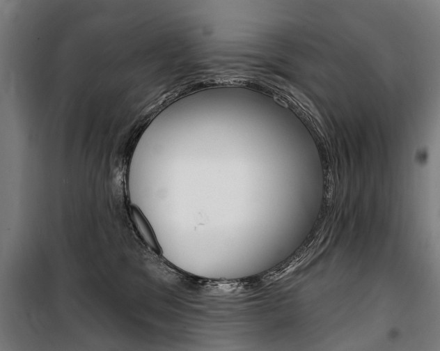 X0000100870329200806200909