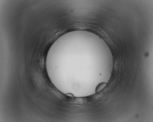 X0000100870330200806200909