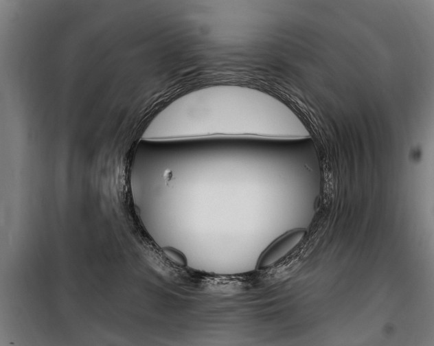 X0000100870331200806200909