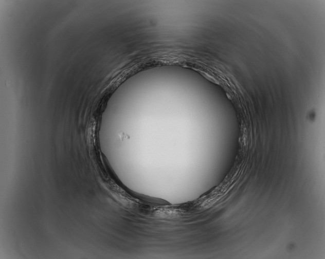 X0000100870332200806200909