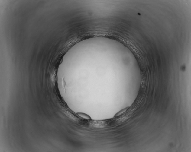 X0000100870334200806200909