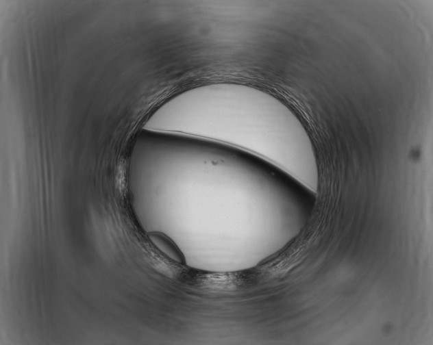X0000100870335200806200909