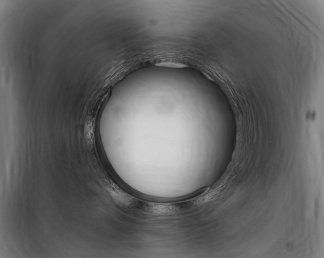 X0000100870336200806200909
