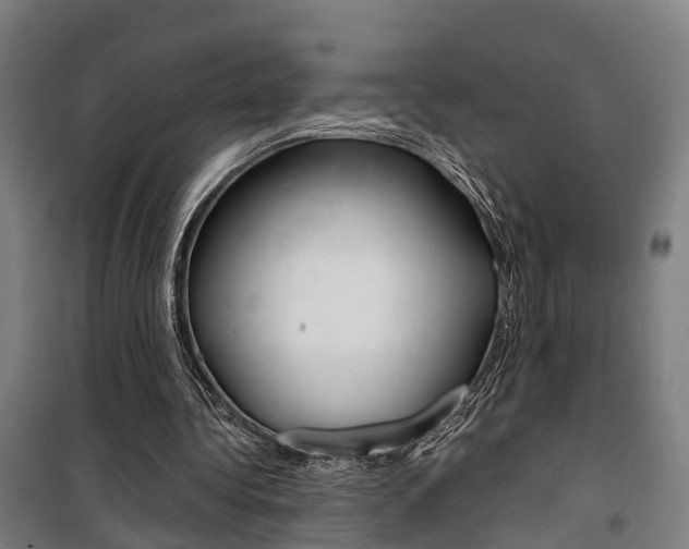 X0000100870340200806200908