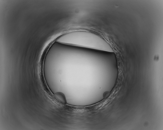 X0000100870342200806200908