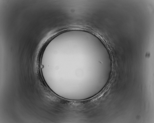 X0000100870343200806200908