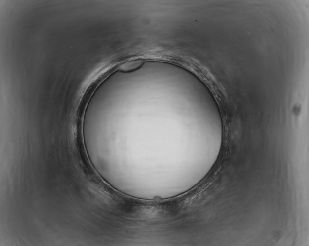 X0000100870344200806200908