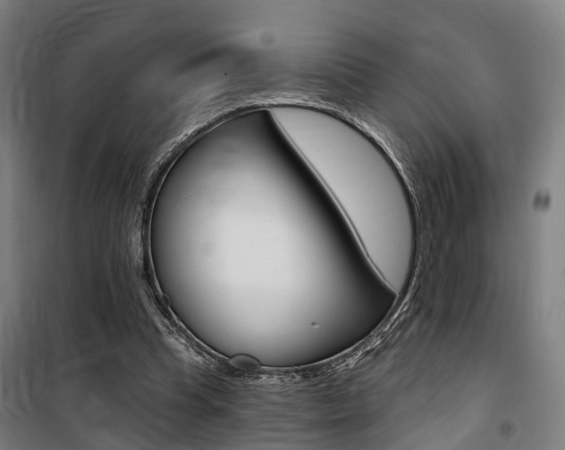 X0000100870345200806200908