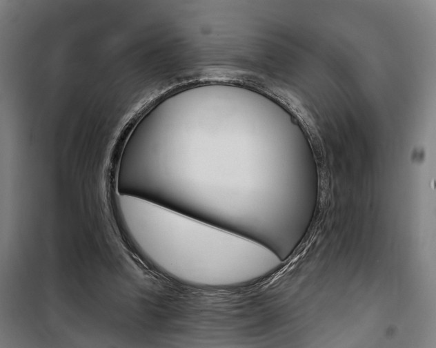 X0000100870346200806200908