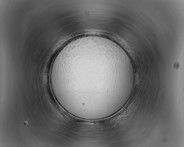 X0000100870347200806200908