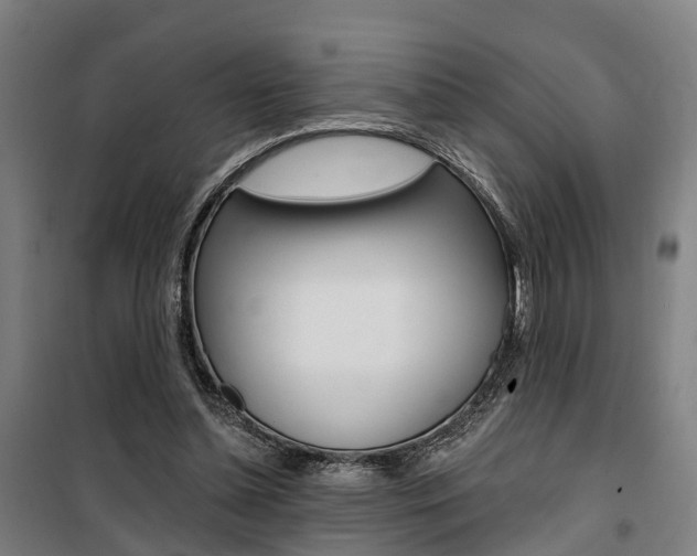 X0000100870348200806200908