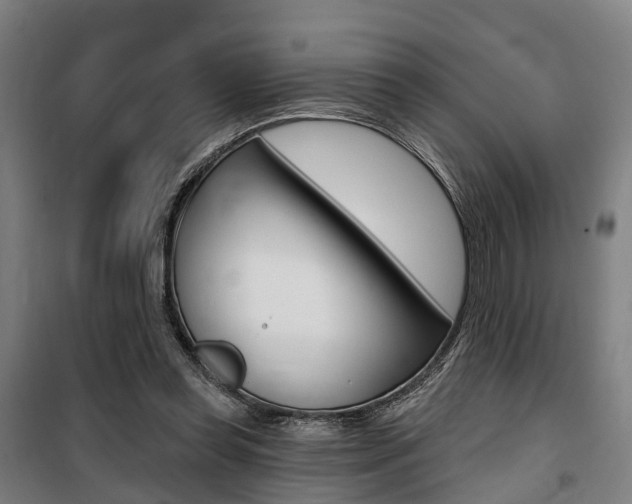 X0000100870349200806200908