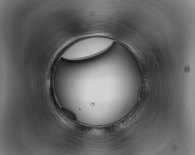 X0000100870350200806200908