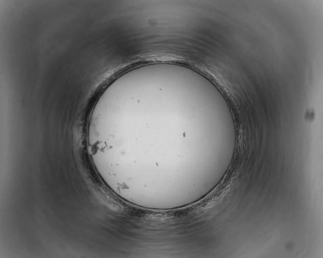 X0000100870351200806200908