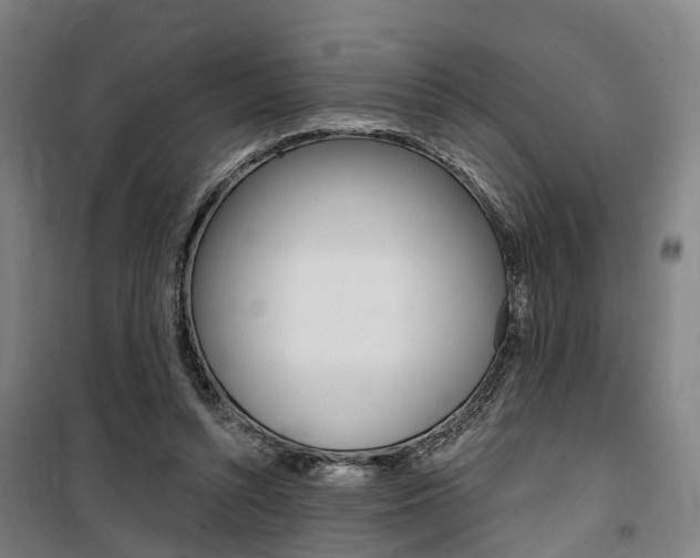 X0000100870352200806200908