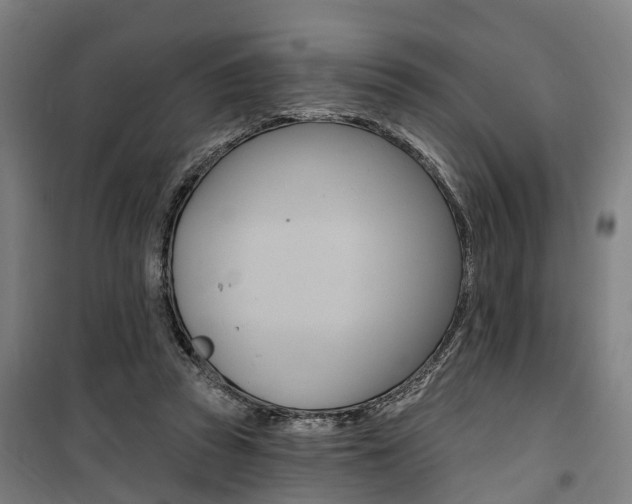 X0000100870353200806200908