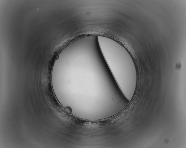 X0000100870354200806200908