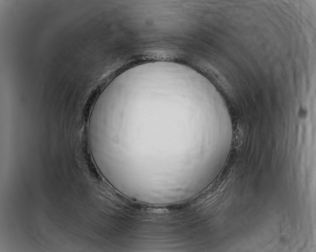 X0000100870355200806200908