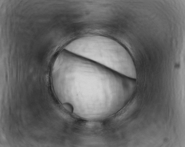 X0000100870357200806200908