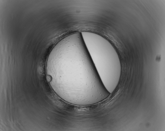X0000100870359200806200908