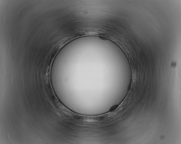 X0000100870360200806200908