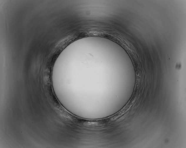 X0000100870361200806200908