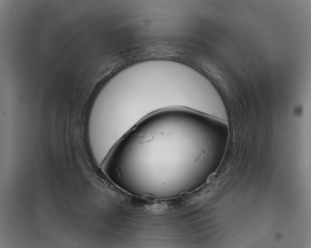 X0000100870362200806200908