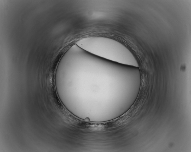 X0000100870363200806200908