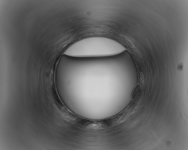 X0000100870364200806200908