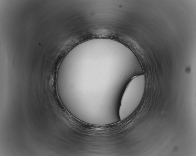 X0000100870365200806200908